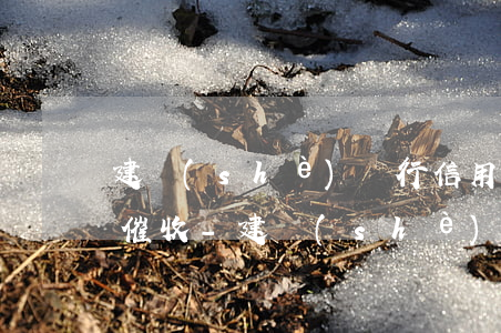 建設(shè)銀行信用卡逾期多久會上門催收-建設(shè)銀行信用卡逾期多久會上門催收嗎