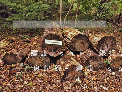 建設(shè)銀行信用卡逾期多久會有不良記錄-建設(shè)銀行信用卡逾期多久會有不良記錄