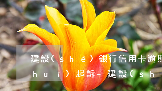 建設(shè)銀行信用卡逾期多少錢會(huì)起訴-建設(shè)銀行信用卡逾期多少錢會(huì)起訴