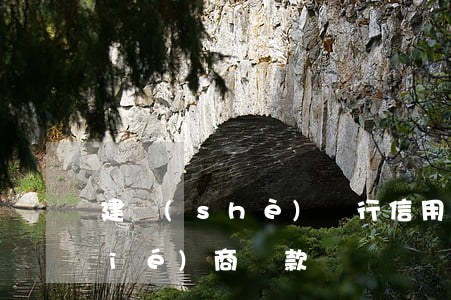 建設(shè)銀行信用卡逾期如何協(xié)商還款