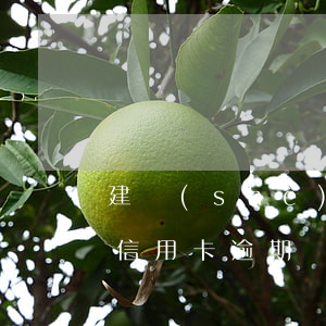 建設(shè)銀行信用卡逾期封卡嗎(建行 信用卡 逾期寬限期)