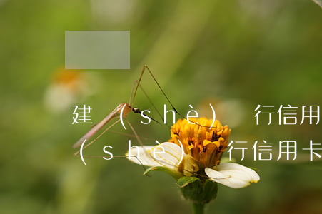 建設(shè)銀行信用卡逾期幾塊錢(建設(shè)銀行信用卡逾期幾塊錢)