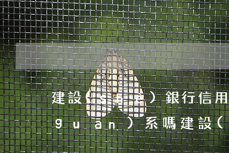 建設(shè)銀行信用卡逾期幾天有關(guān)系嗎 建設(shè)銀行逾期過,以后還可以辦理信用卡嗎