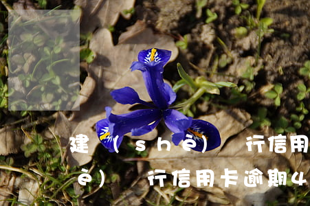 建設(shè)銀行信用卡 逾期 建設(shè)銀行信用卡逾期4個月了,說已經(jīng)報案了