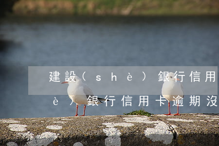 建設(shè)銀行信用卡 逾期（建設(shè)銀行信用卡逾期沒(méi)提醒）