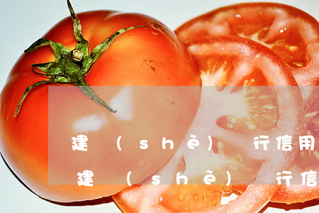 建設(shè)銀行信用卡逾期怎么停止還(建設(shè)銀行信用卡逾期怎么停止還錢)
