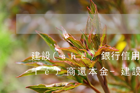建設(shè)銀行信用卡逾期怎么協(xié)商還本金-建設(shè)銀行信用卡逾期怎么協(xié)商還本金的