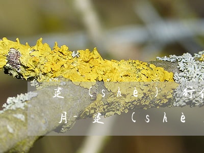 建設(shè)銀行信用卡逾期怎么還兩個月-建設(shè)銀行信用卡逾期怎么還兩個月的錢