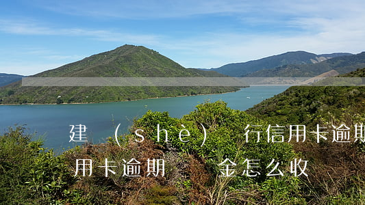 建設(shè)銀行信用卡逾期扣費(建行信用卡逾期滯納金怎么收費)