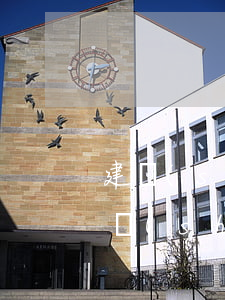 建設(shè)銀行信用卡逾期拒絕交易(建設(shè)銀行信用卡逾期拒絕交易會(huì)怎么樣)
