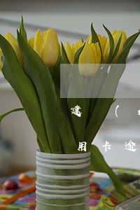 建設(shè)銀行信用卡逾期流程(建行信用卡逾期幾天信用卡異常)
