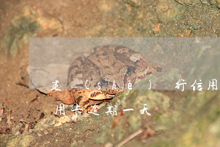 建設(shè)銀行信用卡 逾期（紅塔銀行信用卡逾期一天）