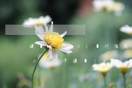 建設(shè)銀行信用卡逾期被銷(xiāo)卡(建設(shè)銀行 信用卡 銷(xiāo)卡)