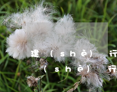建設(shè)銀行信用卡逾期要去家里(建設(shè)銀行逾期多少天會(huì)給家里打電話)
