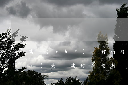 建設(shè)銀行信用卡逾期調(diào)查組(建行有逾期記錄怎么再申請(qǐng)建行信用卡)