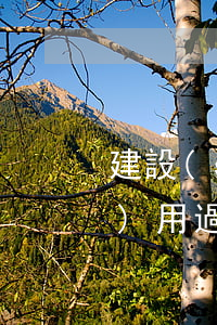 建設(shè)銀行信用卡逾期費(fèi)用過(guò)高(建設(shè)銀行信用卡逾期費(fèi)用過(guò)高會(huì)怎么樣)