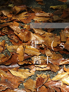 建設(shè)銀行信用卡逾期還能辦理儲蓄卡嗎-建設(shè)銀行信用卡逾期還能辦理儲蓄卡嗎