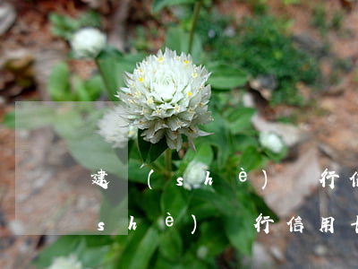 建設(shè)銀行信用卡逾期銷卡(建設(shè)銀行信用卡如何銷卡)