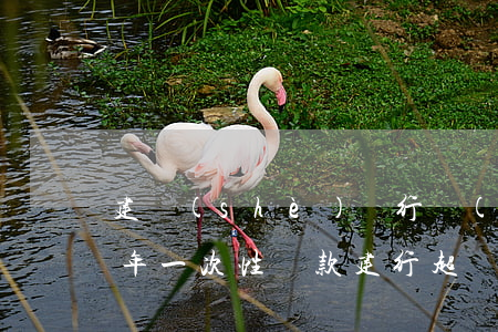 建設(shè)銀行協(xié)商逾期三年一次性還款(建行超過(guò)90天協(xié)商還款)