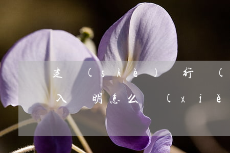 建設(shè)銀行協(xié)商還款收入證明怎么寫(xiě)-建設(shè)銀行協(xié)商還款收入證明怎么寫(xiě)的