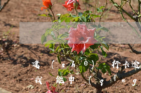 建設(shè)銀行卡逾期3個(gè)月我還能申請(qǐng)開(kāi)通嗎（建設(shè)銀行信用卡逾期多久會(huì)聯(lián)系）