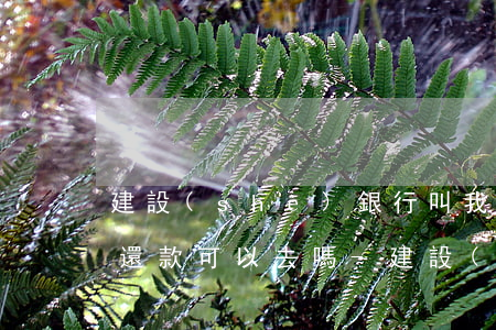 建設(shè)銀行叫我去協(xié)商還款可以去嗎-建設(shè)銀行叫我去協(xié)商還款可以去嗎是真的嗎