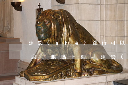 建設(shè)銀行可以協(xié)商停息掛賬嗎上海-建設(shè)銀行可以申請停息掛賬嗎