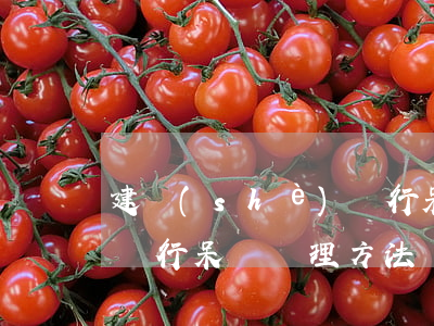 建設(shè)銀行呆賬-建設(shè)銀行呆賬處理方法