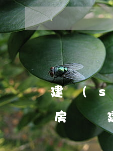 建設(shè)銀行對信用卡逾期兩次影響房貸嗎（建設(shè)銀行信用卡經(jīng)常逾期）