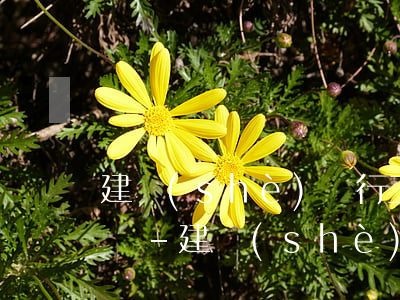 建設(shè)銀行工薪貸逾期了不能分期嗎-建設(shè)銀行工薪貸逾期了不能分期嗎怎么辦