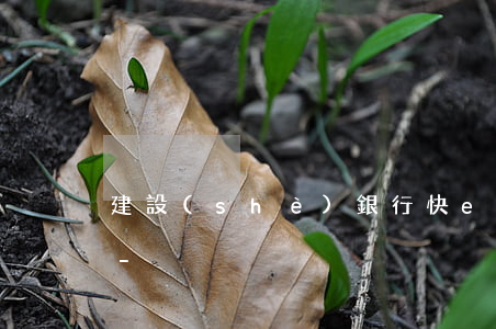 建設(shè)銀行快e貸逾期可以扣錢嗎-