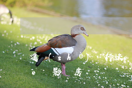 建設(shè)銀行快e貸逾期后果(建行快e貸影響房貸嗎)