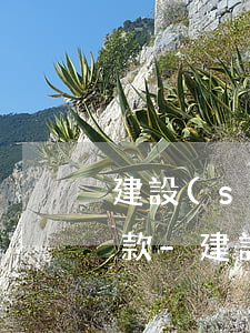 建設(shè)銀行快e貸逾期多久可以還款-建設(shè)銀行快e貸逾期多久可以還款啊
