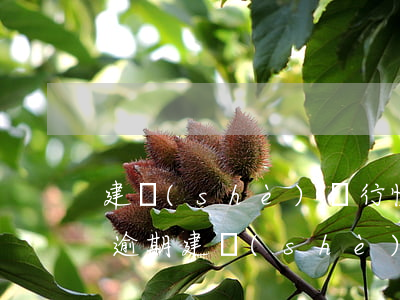 建設(shè)銀行快貸10萬(wàn)逾期(建設(shè)銀行快貸逾期一天還能再次放款嗎)