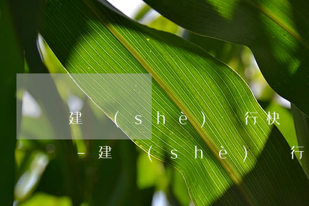 建設(shè)銀行快貸可以用微信還款嗎-建設(shè)銀行快貸可以用微信還款嗎安全嗎