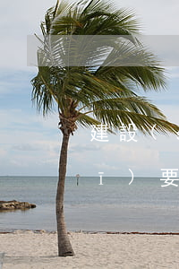 建設(shè)銀行快貸被懷疑違規(guī)要求還款-建設(shè)銀行快貸被懷疑違規(guī)要求還款怎么辦