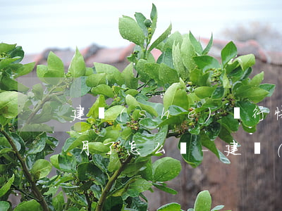 建設(shè)銀行快貸逾期七個(gè)月了怎么辦-建設(shè)銀行快貸逾期七個(gè)月了怎么辦啊