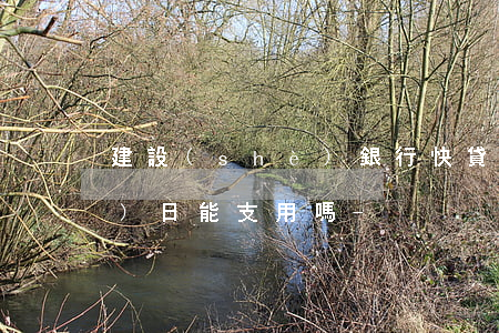 建設(shè)銀行快貸還款當(dāng)日能支用嗎-