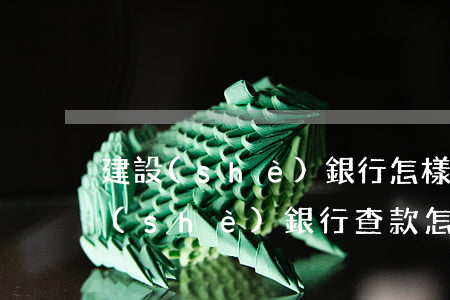 建設(shè)銀行怎樣查詢逾期記錄(建設(shè)銀行查款怎么查)