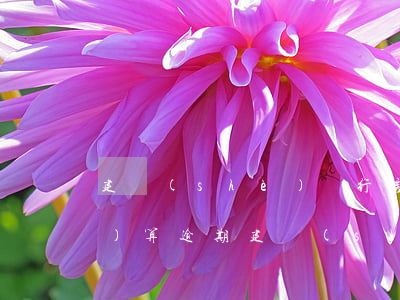 建設(shè)銀行房貸多長(zhǎng)算逾期(建設(shè)銀行貸款逾期多久影響征信)