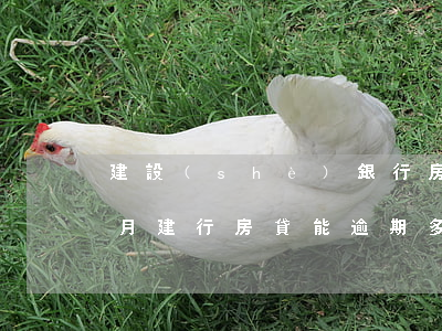 建設(shè)銀行房貸逾期1個(gè)月(建行房貸能逾期多久)