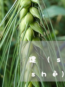 建設(shè)銀行房貸逾期怎么還(建設(shè)銀行房貸逾期政策)