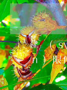 建設(shè)銀行支行有沒有權(quán)限停信用卡-建設(shè)銀行支行有沒有權(quán)限停信用卡的