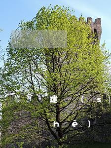 建設(shè)銀行的信用卡利息(建設(shè)銀行的信用卡利息)