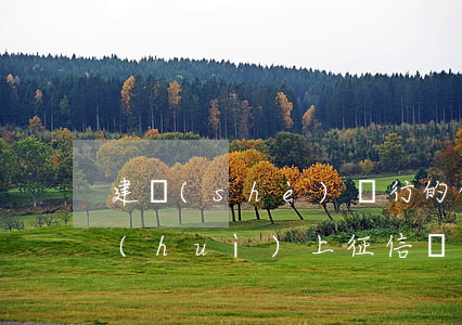 建設(shè)銀行的信用卡逾期13天會(huì)上征信嗎（建設(shè)銀行信用卡逾期52天會(huì)怎樣）