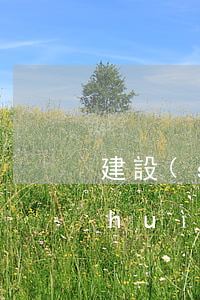 建設(shè)銀行的信用卡逾期一天會(huì)有不良記錄（建行信用卡逾期4個(gè)月）