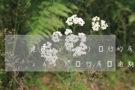 建設(shè)銀行的房貸逾期2月(建設(shè)銀行房貸逾期政策)