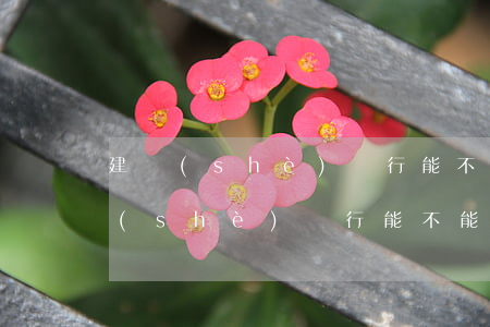 建設(shè)銀行能不能停息掛賬-建設(shè)銀行能不能停息掛賬呢