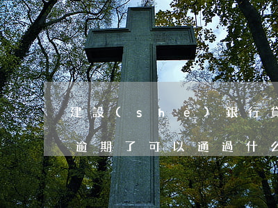 建設(shè)銀行貸款逾期信息(建行貸款逾期了可以通過什么方式補救?)