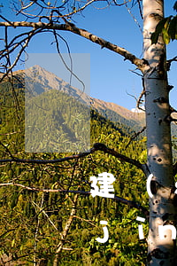 建設(shè)銀行貸款逾期多久不會進(jìn)入黑名單-建設(shè)銀行貸款逾期多久不會進(jìn)入黑名單了